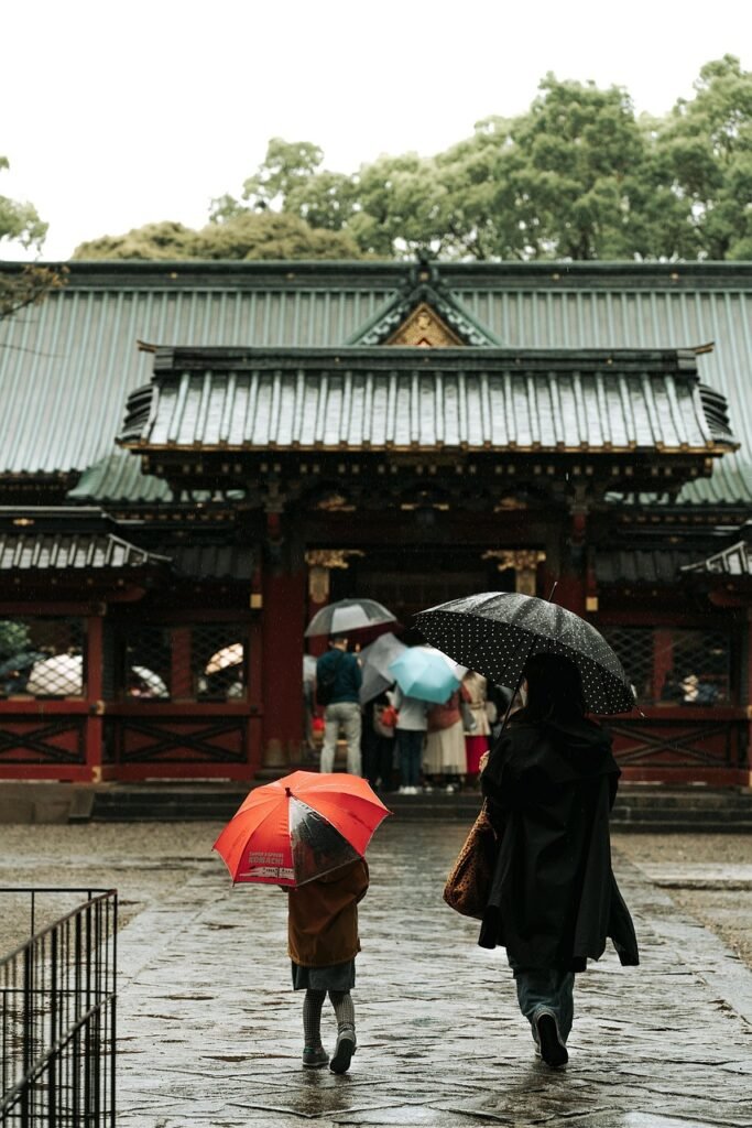 rain, tree, nature, temple, people